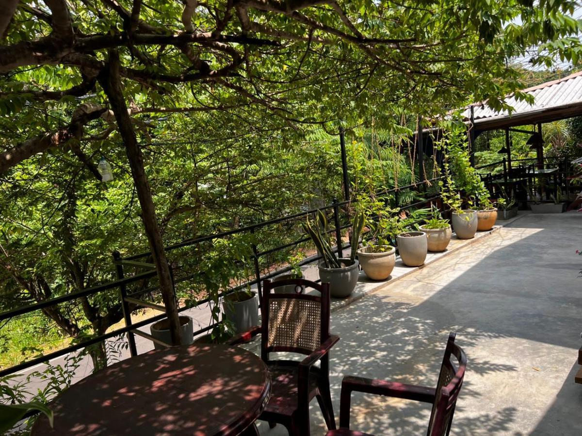 The Traveller'S Hostel & Private Rooms Σιγκιρίγια Εξωτερικό φωτογραφία