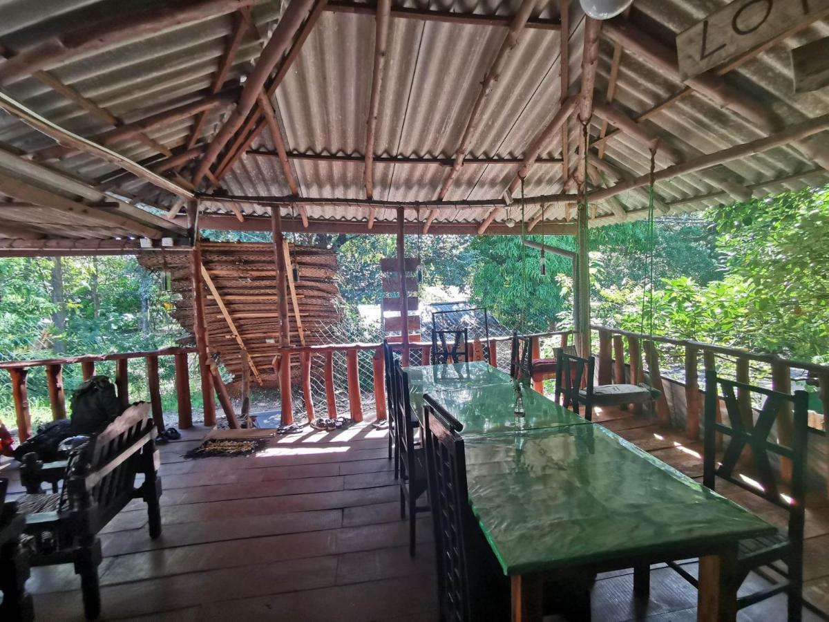 The Traveller'S Hostel & Private Rooms Σιγκιρίγια Εξωτερικό φωτογραφία